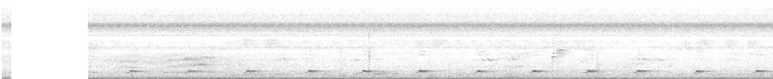 Gallineta Pechiblanca - ML647558036