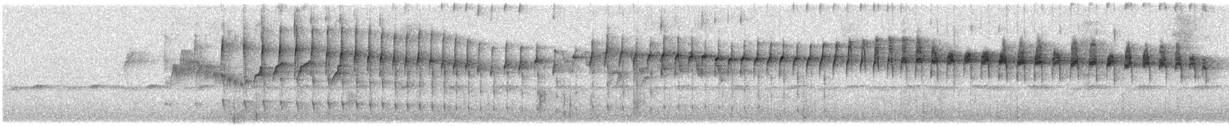 Curutié Carirrojo - ML647558229