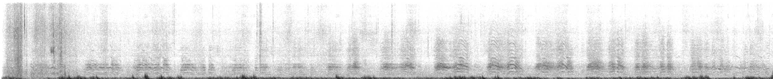 Pingüino Barbijo - ML647558441