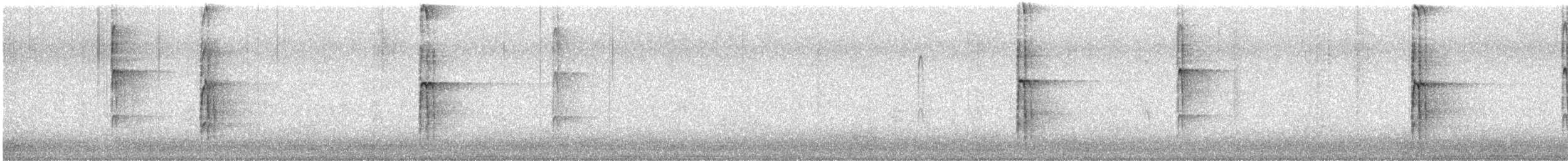 Pico Velloso (grupo villosus) - ML647558578