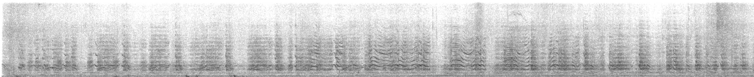 Pingüino Barbijo - ML647558611