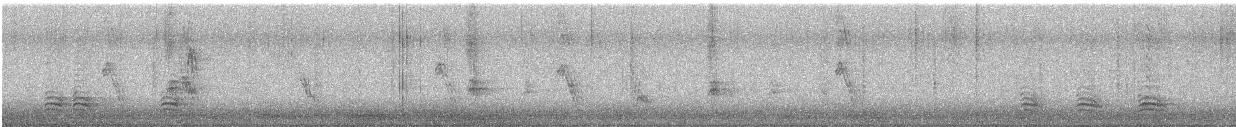 Trepador Pechiblanco (carolinensis) - ML647558703