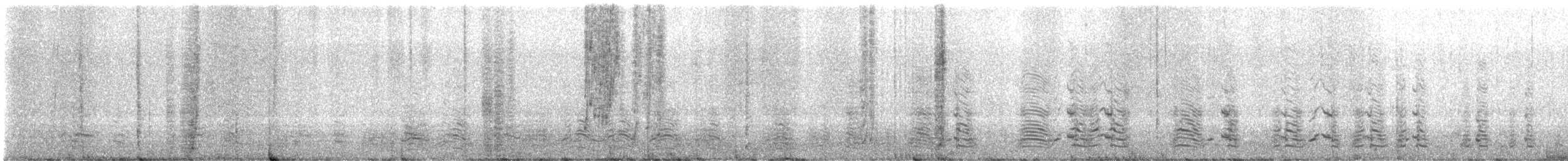 Антарктический пингвин - ML647558837