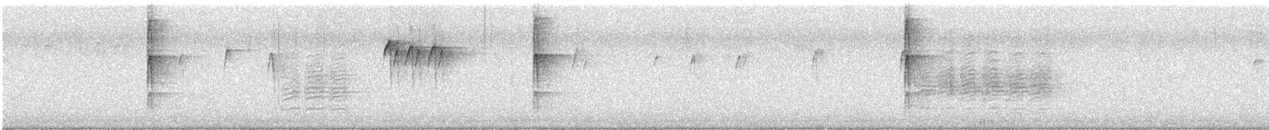 Pico Pubescente (pubescens/medianus) - ML647558920