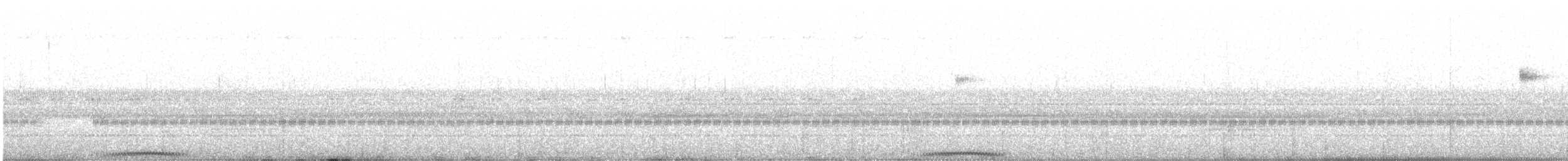 Búho Corniblanco - ML647559263