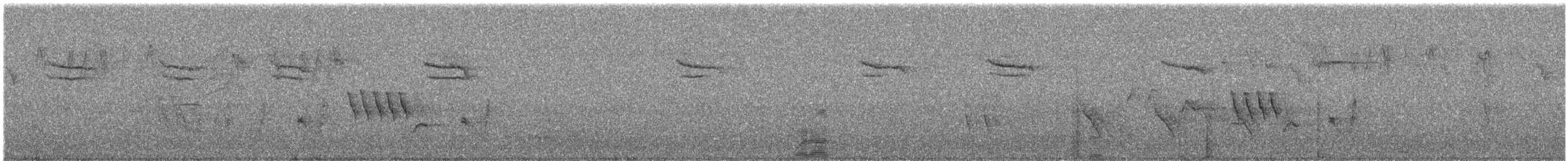 Amazilia Costeña - ML647559270