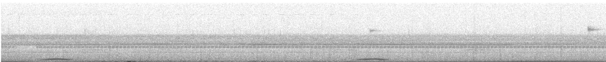 Búho Corniblanco - ML647559379