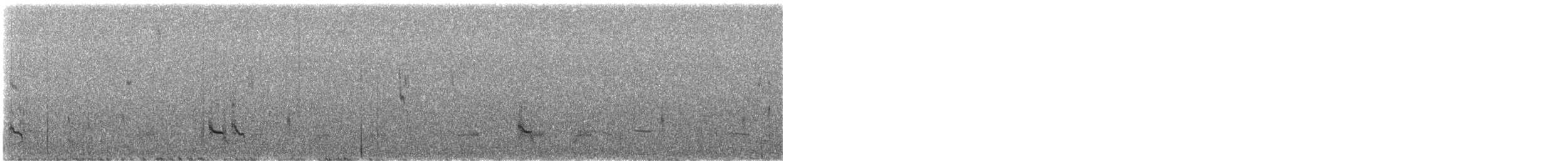 Stilt Sandpiper - ML647559992