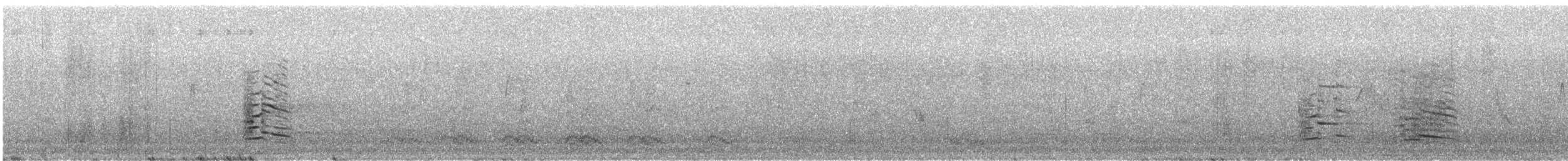 California Gull - ML647560211