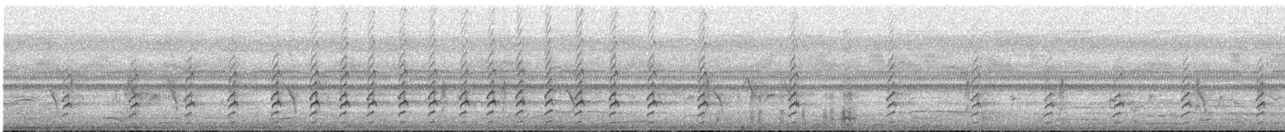 Hamerkop - ML647560282