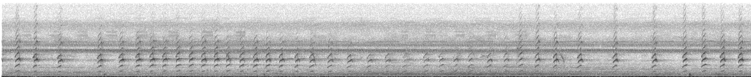 Hamerkop - ML647560283