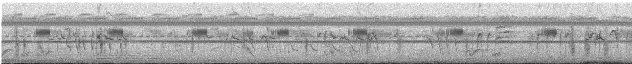 Northern Puffback - ML647560293