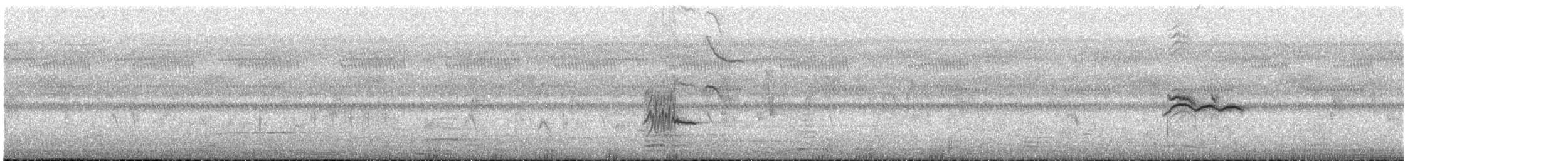 Northern Black-Flycatcher - ML647560306