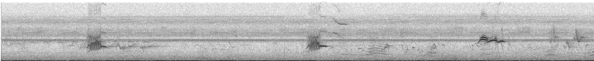 Northern Black-Flycatcher - ML647560307