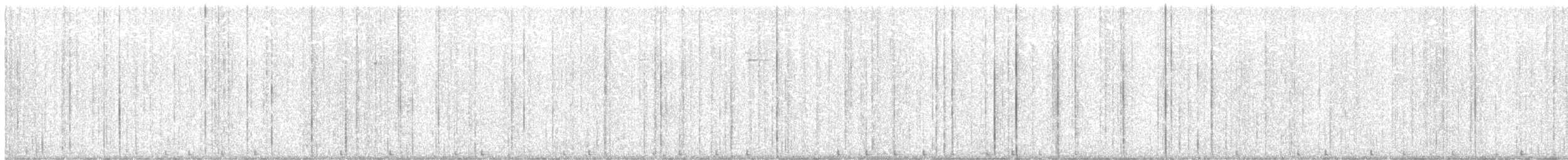 woodpecker sp. - ML647560308