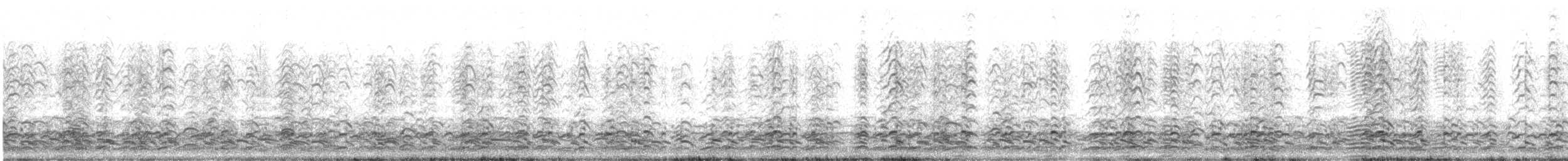 Cackling Goose - ML647560347