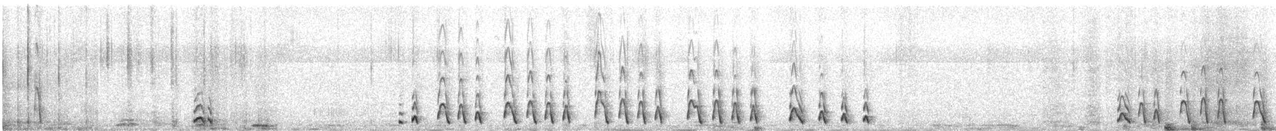 Subantarctic Shearwater - ML647560772