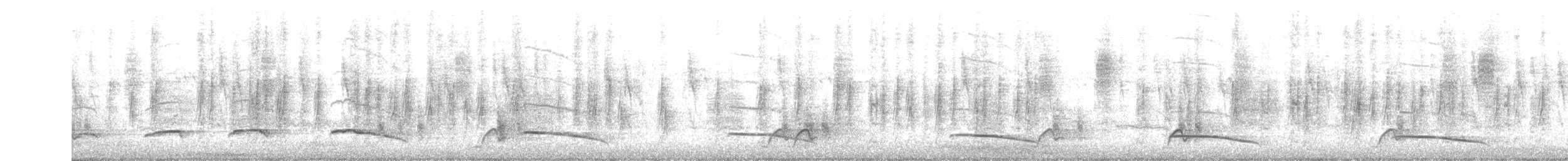 Pearl-spotted Owlet - ML647560852