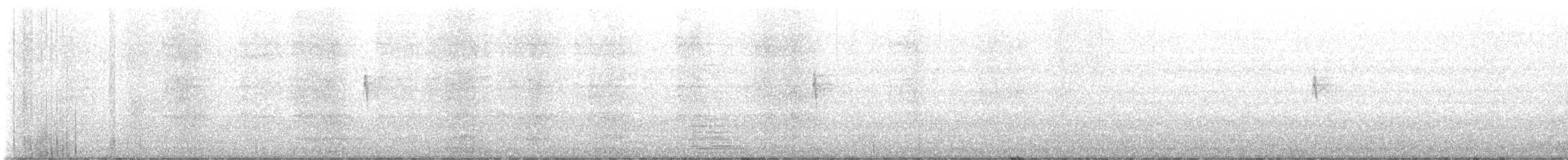 Chingolo Pantanero - ML647561386