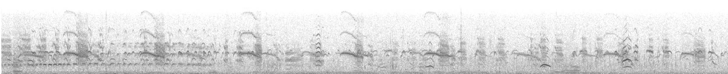 Arctic Tern - ML647562170