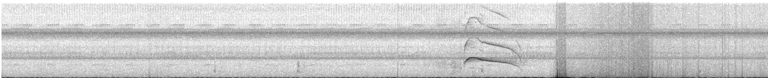 Gray-lined Hawk - ML647562644