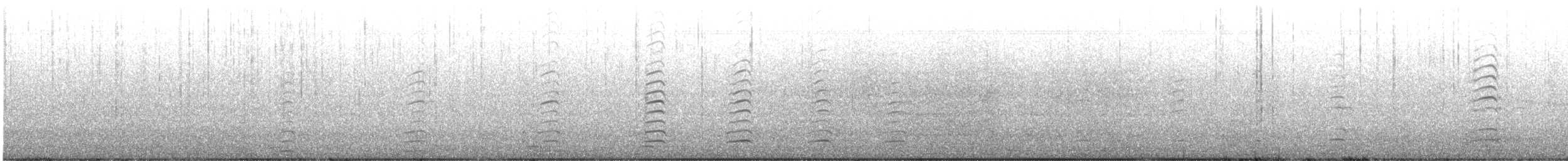 小加拿大雁 - ML647562863