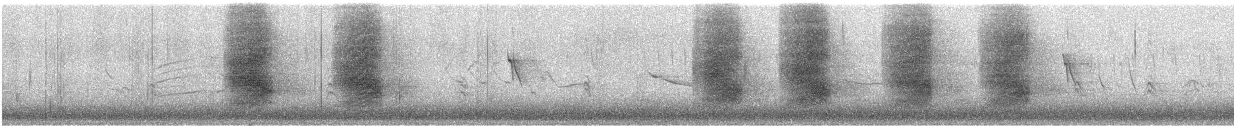 Steller Kargası [diademata grubu] - ML647562888