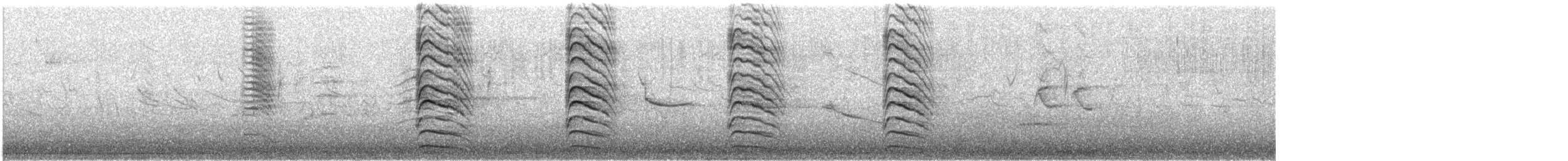 Cooper's Hawk - ML647562902