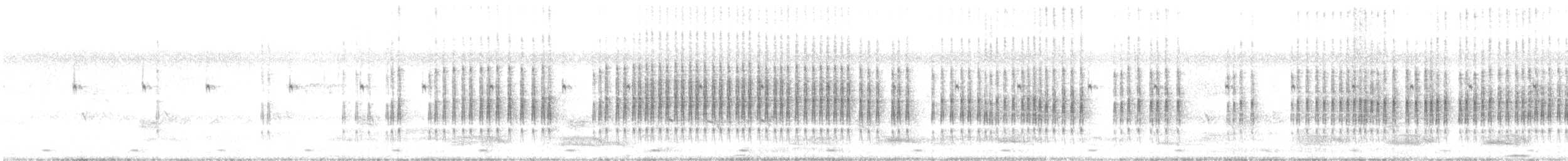 Yellow-eyed Babbler - ML647562930