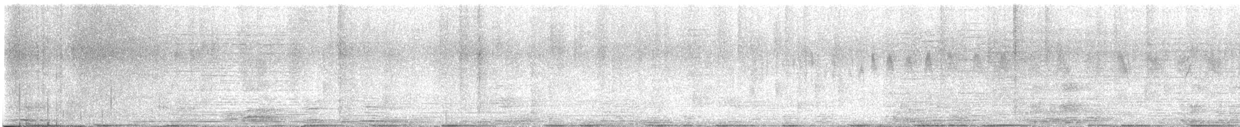 Chestnut-collared Swift - ML647563060