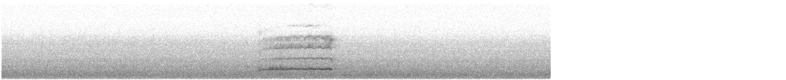 Western Barn Owl - ML647563206