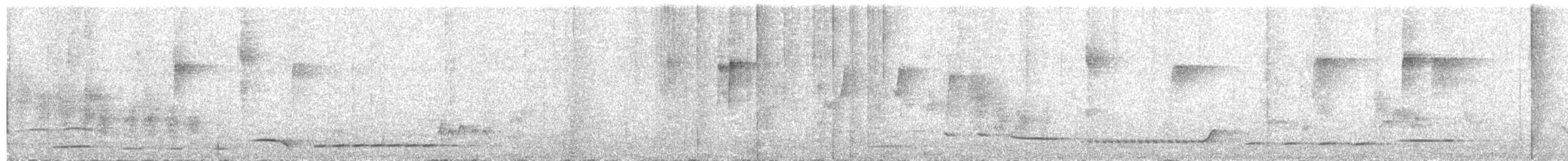 セアカマユミソサザイ - ML647563662