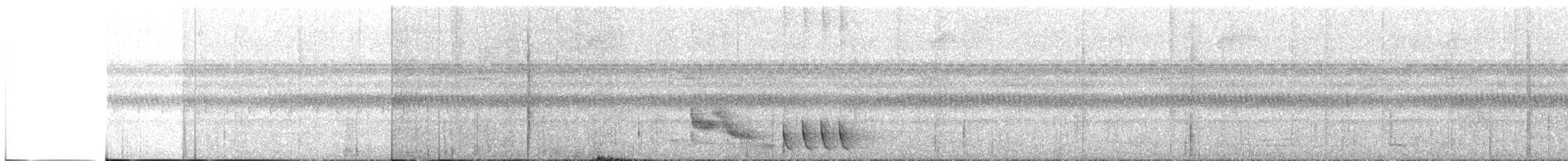 Cucarachero Bigotudo Brasileño - ML647563821