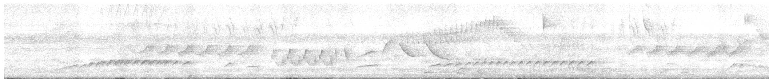 オオカギハシタイランチョウ - ML647563869