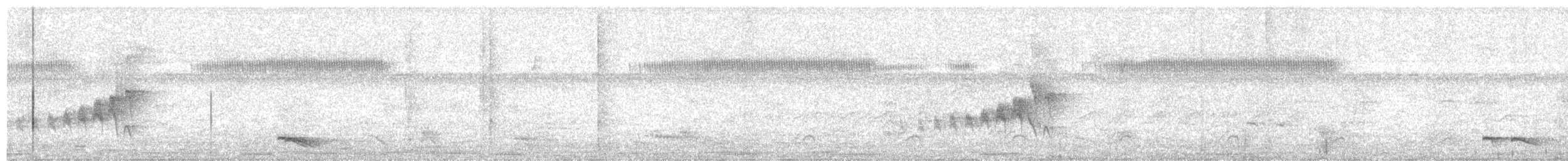 Mouse-colored Tyrannulet - ML647564433