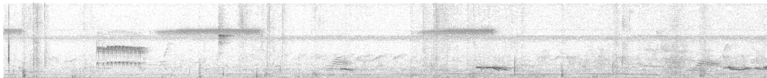 Lance-tailed Manakin - ML647564456