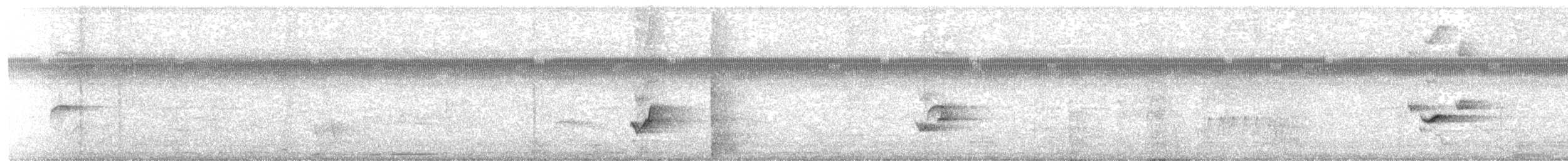 Yellow Oriole - ML647564607