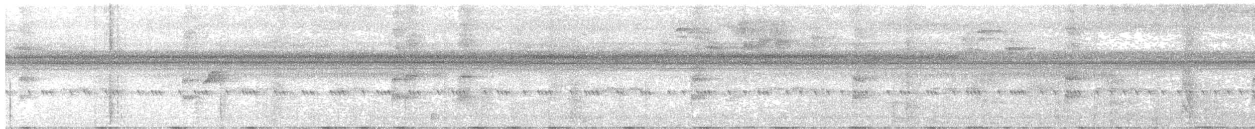 Blue-black Grosbeak - ML647564904