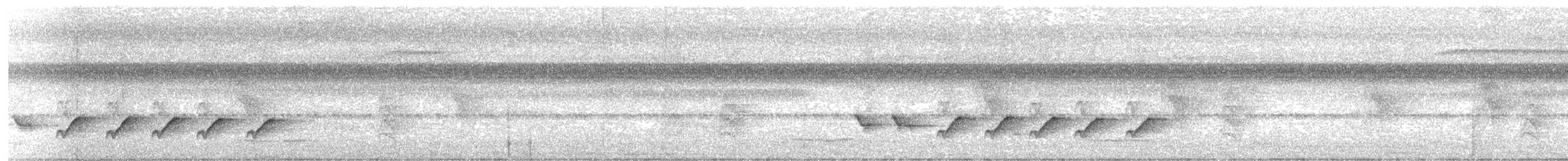 Long-billed Gnatwren - ML647564912