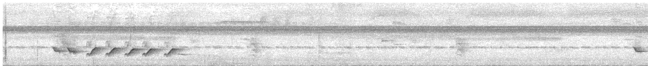 Long-billed Gnatwren - ML647564913