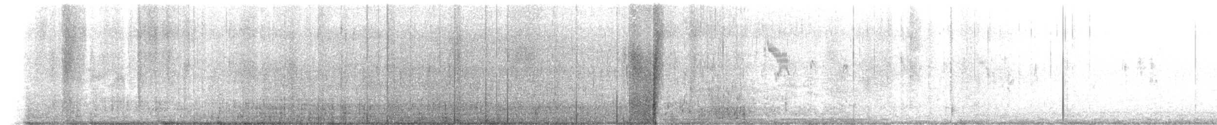 passerine sp. - ML647565023