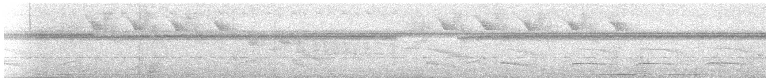 Gray-lined Hawk - ML647565099