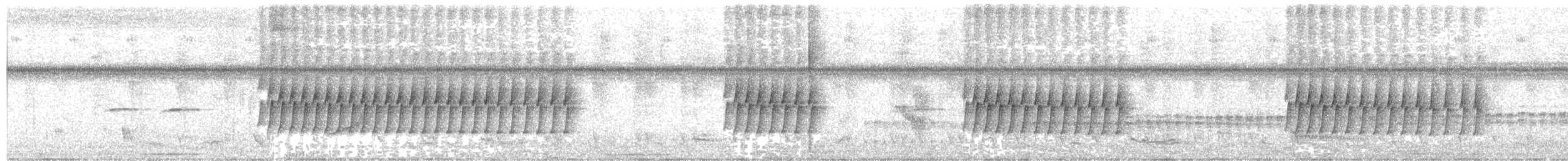 Long-billed Gnatwren - ML647565181