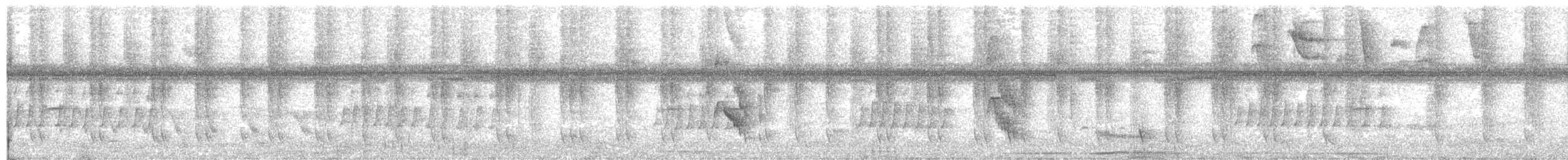 Rufous-tailed Hummingbird - ML647565190