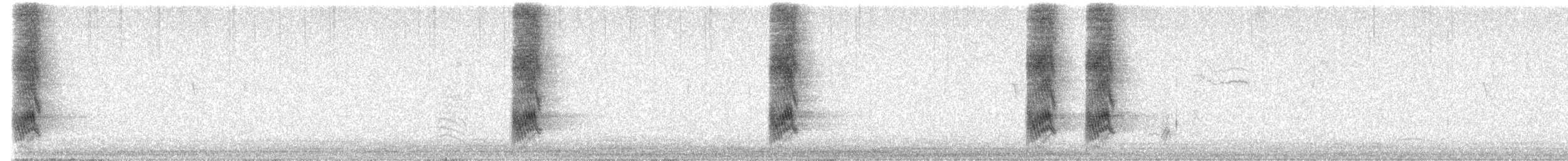 Florida Scrub-Jay - ML647565201