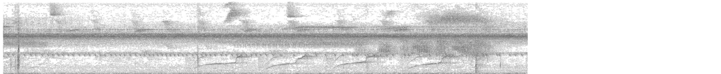 Glattschnabelani - ML647566120