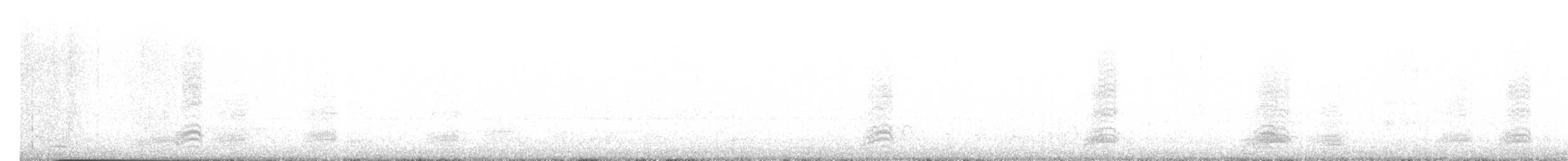 krkavec mexický - ML647566642