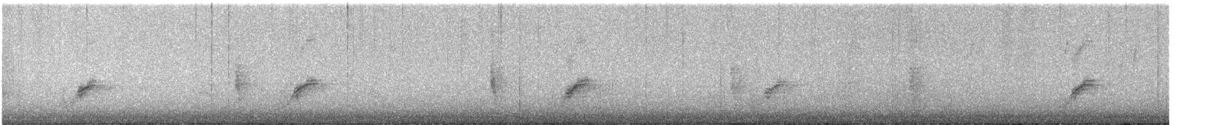 pipilo rudooký - ML647566927