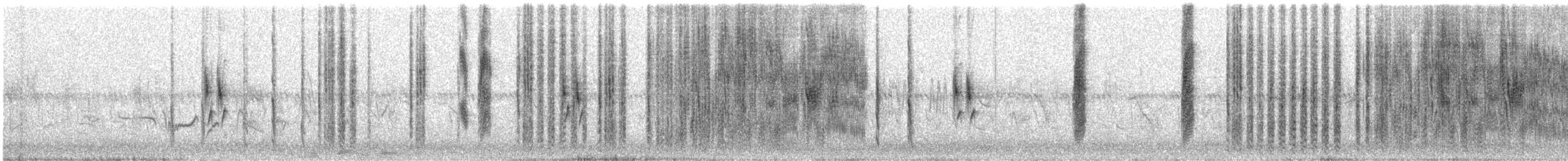 snovač etiopský - ML647566929