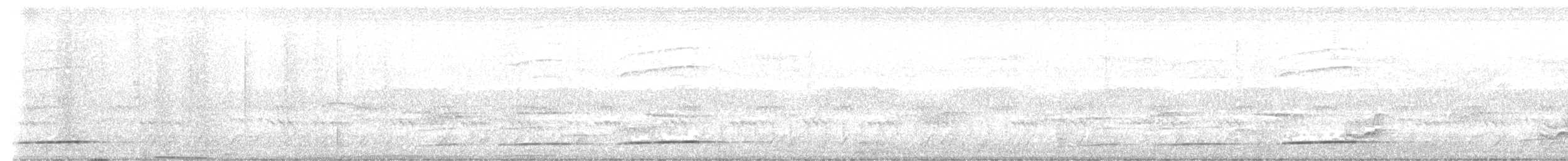 kukačka subsaharská (ssp. clamosus) - ML647566935